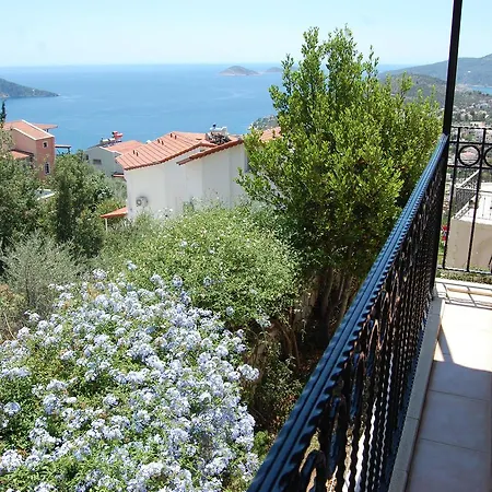 Tas Kalkan
